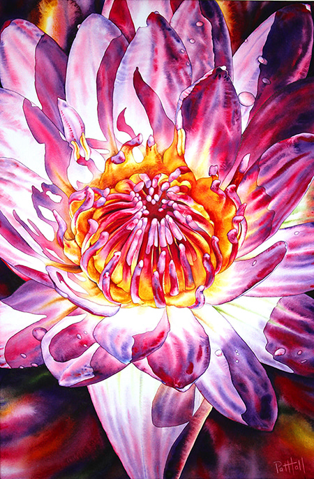 Water Lily by Pat Hall | Lethbridge Gallery